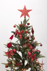 christmas tree on the white background.