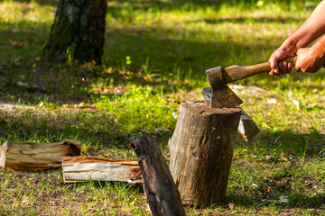 A young man chopping wood in the forest