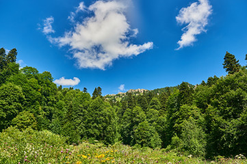 The Caucasus mountains in Russia