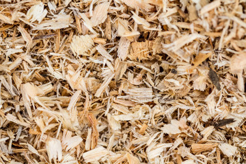 Background of sawdust. Texture. Wallpaper