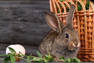 Brown, small, furry, homemade rabbit on a dark background, next to the basket. Easter, holiday