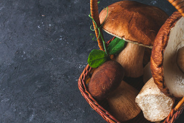 Forest mushrooms in a basket for mushrooms on a dark background. Copy space