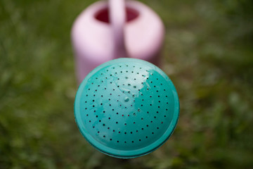 Watering can on a green background