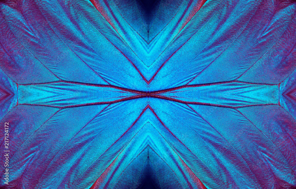 Poster blue abstract pattern. wings of a butterfly morpho texture background. morpho butterfly