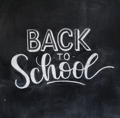 Obraz premium Back to school chalk doodle background on blackboard