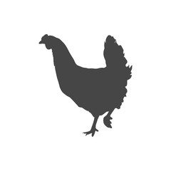 Chicken (Hen) Vector Illustration, chicken silhouette icon