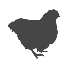 Chicken (Hen) Vector Illustration, chicken silhouette icon
