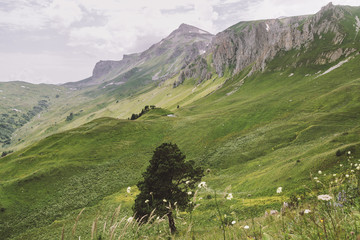Republic of Adygea / Russia - July 28, 2018: Views on the landscape of the Caucasian Reserve