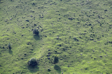 green hill side background