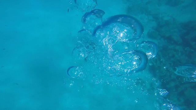 Scuba diving under sea in antalya