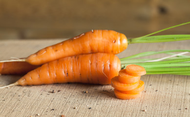 Carrot