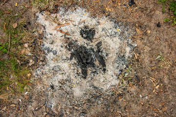 ashes from a fire after a barbecue in the nature