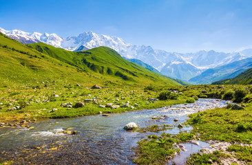 Beautiful mountain stream with colorful stones. The landscape with the great beautiful mountains in the sun rays. Eco tourism. Spring scenery. Upper Svaneti, Georgia, Europe.