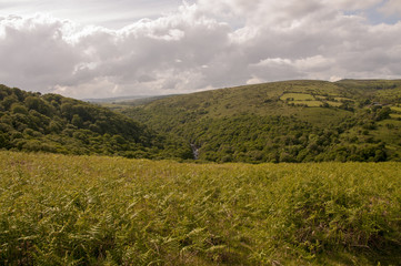 Fototapeta premium River valley on Dartmoor