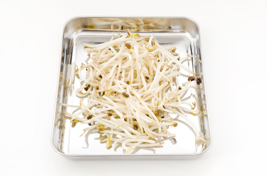 140 最適な マーミナー 画像 ストック写真 ベクター Adobe Stock