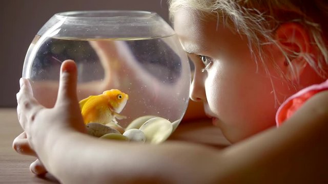 funny little girl is looking on a small red fish inside decorative fishbowl in home