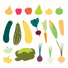 Big autumn harvest set with different fruits and vegetables. Isolated objects on white background. Hand drawn vector illustration. Flat style design. Concept for fall, healthy eating, gardening.