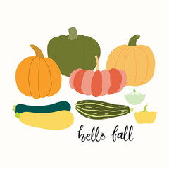 Hand drawn vector illustration of different squashes, pumpkins, with lettering quote Hello fall. Isolated objects on white background. Flat style design. Concept for gardening, autumn harvest.