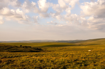 Fototapeta na wymiar Dartmoor in the summer