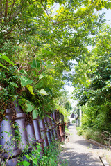 土管がある風景