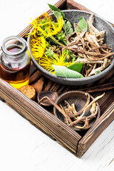 Root and tincture of elecampane