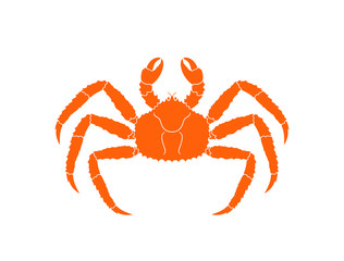 King crab. Isolated crab on white background