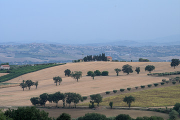 Obraz premium countryside,hill,Italy,field,panorama,agriculture,landscape,rural,summer