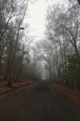 Estrada com neblina