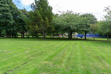 Fototapeta premium Scottish Park in Summer