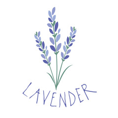 Lavender flower. Logo design. Text hand drawn.