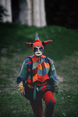 Portrait of a jester in a mask - obrazy, fototapety, plakaty