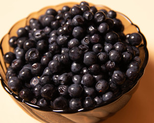 blueberries in a glass plate on an orange background