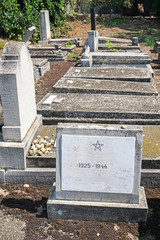 Tombstones in the jewish cemetery