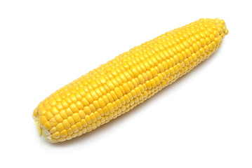 One corn isolated on white background. Top view, flat