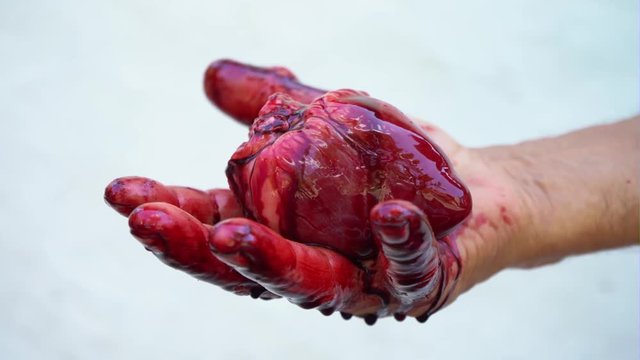 A man's hand holds a bloody heart on a white background