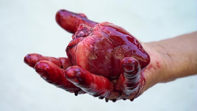 A man's hand holds a bloody heart on a white background