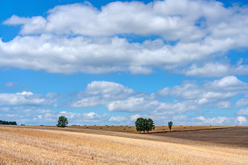 Harvest time in front of a beautiful sky, field with hay bales in the national park and nature park Harz, Northern Germany.