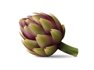 Obraz premium Fresh Artichokes isolated on white background