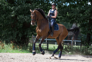 Galopppirouette auf dem Platz  © Talitha