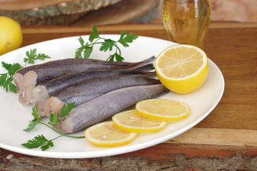 hake fish