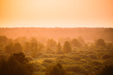 Sunrise Over Misty Forest Landscape In Early Morning. Scenic View