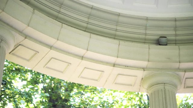 A building with white columns of antique style against the background of a green park. Buildings and architecture. Close-up