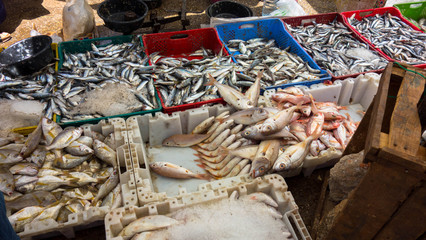 Traditional food street market in Morocco. Fish stall on the floor.