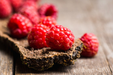 Ripe raspberry on the wooden bark. Selective focus. Shallow depth of field.