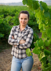 Woman proffesional winemaker working clusters of grape in vineyard