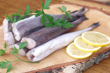 hake fish
