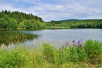 A pond surrounded by forests and meadows under cloudy sky