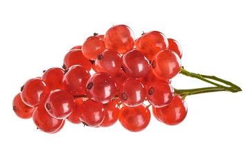 Ripe red currant berries, isolated on white background.