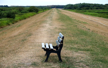 Leere Bank in grüner einsamer Natur – Themenbild „Friede, Harmonie, Ruhe“ mit selektiver...