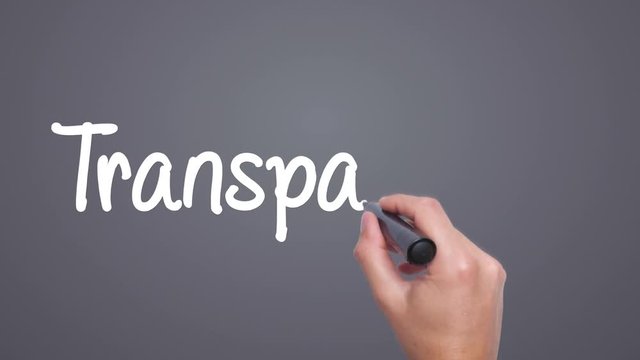 Transparency - concept with hand writing on the sky. Man writing. Blue sky with clouds time lapse. Sky is the limit circled. Business, technology, internet concept. film look. 4k